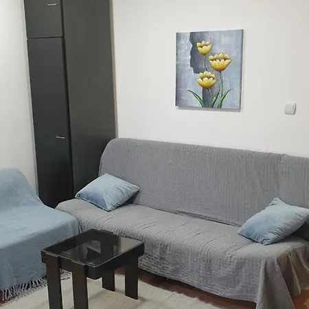 Center 3 Apartment Nis